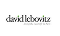 David Lebovitz Logo