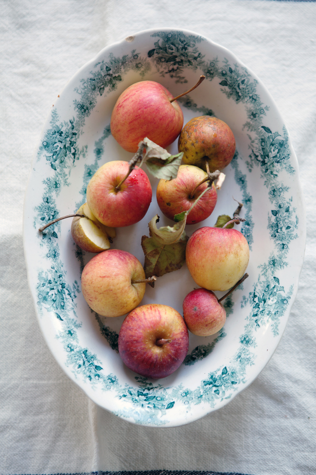 heirloom apples