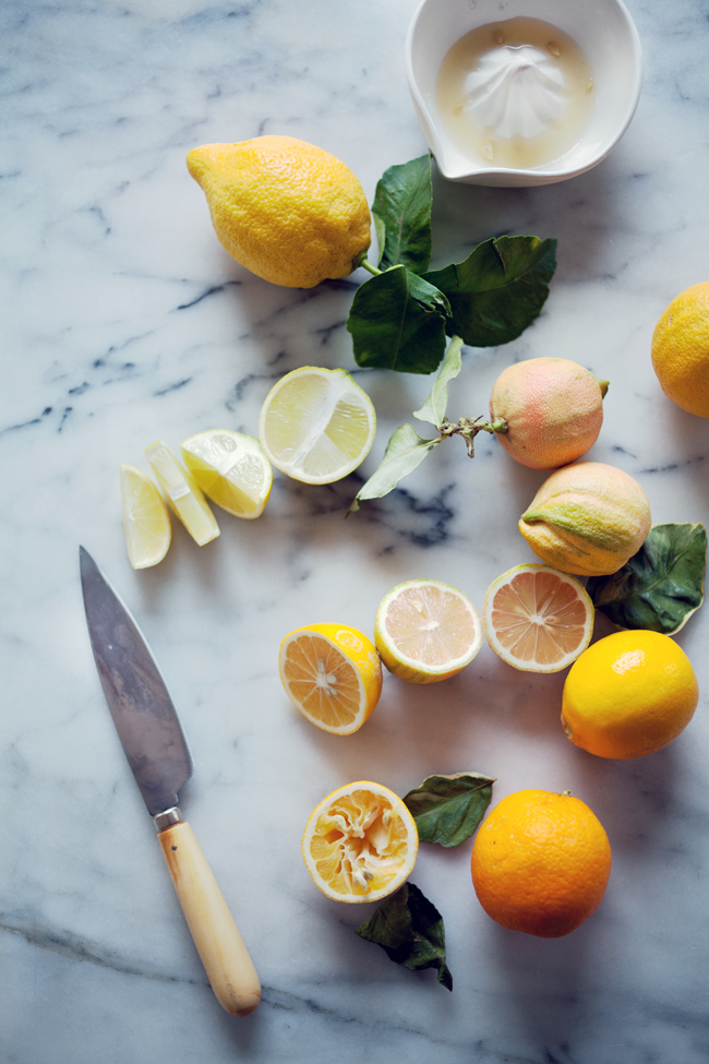 Citrus | Cannelle et Vanille