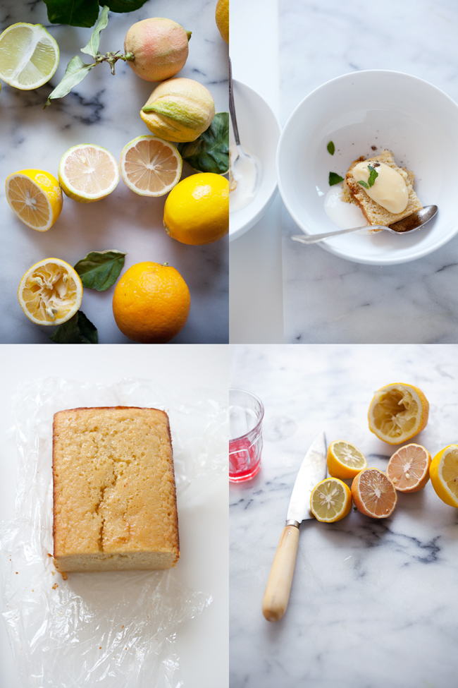 Lemon and olive oil cake with lemon curd | Cannelle et Vanille