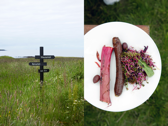 Summer picnic in Iceland | Cannelle et Vanille