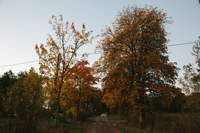 Autumn in Sweden | Cannelle et Vanille
